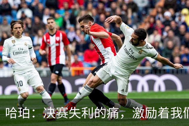 哈珀：决赛失利的痛，激励着我们团结一心