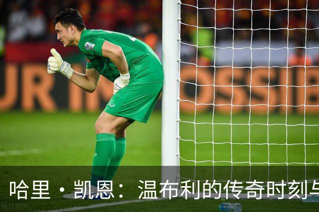 哈里·凯恩：温布利的传奇时刻与荣耀之路