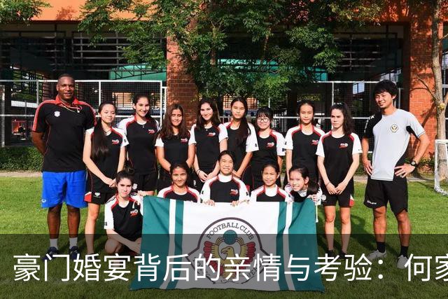 豪门婚宴背后的亲情与考验：何家大事