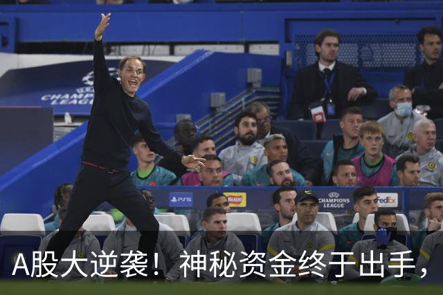 A股大逆袭！神秘资金终于出手，市场激情四射！